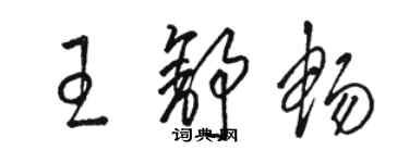 骆恒光王舒畅草书个性签名怎么写