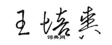 骆恒光王培爽草书个性签名怎么写