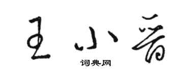 骆恒光王小晋草书个性签名怎么写