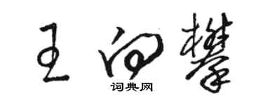 骆恒光王向攀草书个性签名怎么写