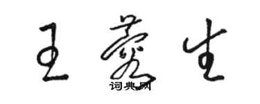 骆恒光王蓉生草书个性签名怎么写