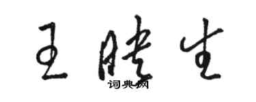 骆恒光王映生草书个性签名怎么写