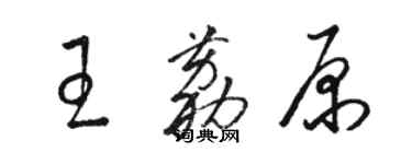 骆恒光王荔原草书个性签名怎么写