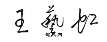 骆恒光王艺虹草书个性签名怎么写