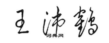 骆恒光王沛鹤草书个性签名怎么写