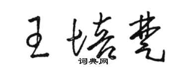 骆恒光王培楚草书个性签名怎么写