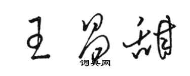 骆恒光王昌甜草书个性签名怎么写