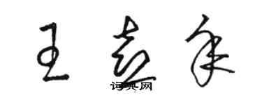 骆恒光王喜年草书个性签名怎么写