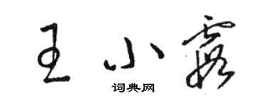骆恒光王小霞草书个性签名怎么写