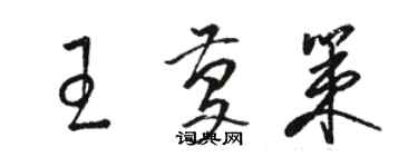 骆恒光王庆策草书个性签名怎么写