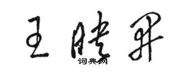 骆恒光王映开草书个性签名怎么写