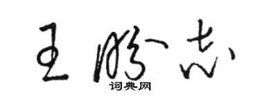 骆恒光王盼志草书个性签名怎么写