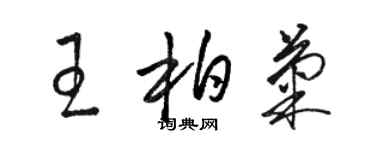 骆恒光王柏菊草书个性签名怎么写