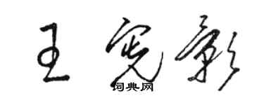 骆恒光王宪影草书个性签名怎么写