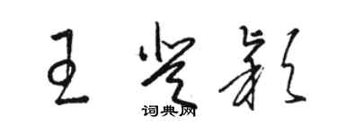 骆恒光王登颖草书个性签名怎么写