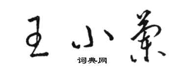 骆恒光王小兰草书个性签名怎么写