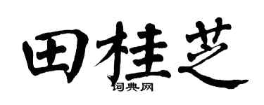 翁闿运田桂芝楷书个性签名怎么写