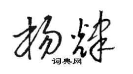 骆恒光杨辉草书个性签名怎么写