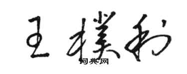 骆恒光王朴利草书个性签名怎么写