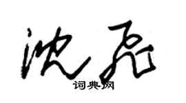 朱锡荣沈飞草书个性签名怎么写