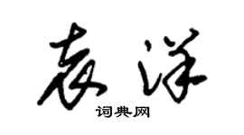 朱锡荣袁洋草书个性签名怎么写