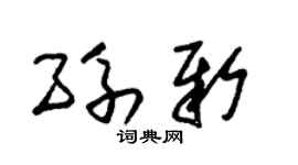 朱锡荣孙新草书个性签名怎么写
