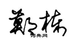 朱锡荣郑栋草书个性签名怎么写