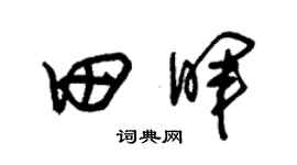 朱锡荣田晖草书个性签名怎么写