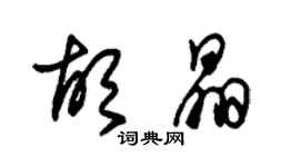 朱锡荣胡晶草书个性签名怎么写