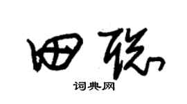 朱锡荣田聪草书个性签名怎么写