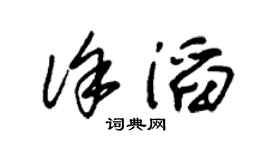 朱锡荣徐滔草书个性签名怎么写