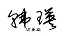 朱锡荣韩瑛草书个性签名怎么写