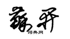 朱锡荣苏开草书个性签名怎么写