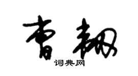 朱锡荣曹韧草书个性签名怎么写