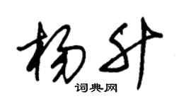 朱锡荣杨升草书个性签名怎么写