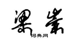 朱锡荣梁崇草书个性签名怎么写