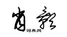 朱锡荣肖影草书个性签名怎么写