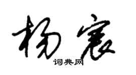 朱锡荣杨宸草书个性签名怎么写