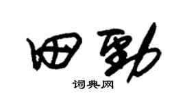 朱锡荣田劲草书个性签名怎么写