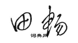 骆恒光田畅草书个性签名怎么写