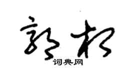 朱锡荣郭相草书个性签名怎么写