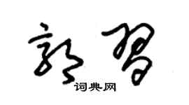 朱锡荣郭习草书个性签名怎么写