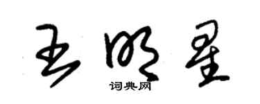 朱锡荣王明星草书个性签名怎么写