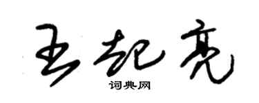 朱锡荣王起亮草书个性签名怎么写