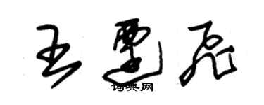 朱锡荣王迁飞草书个性签名怎么写