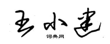 朱锡荣王小建草书个性签名怎么写