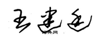 朱锡荣王建廷草书个性签名怎么写