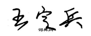 朱锡荣王定兵草书个性签名怎么写