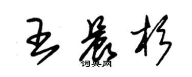 朱锡荣王晨杉草书个性签名怎么写