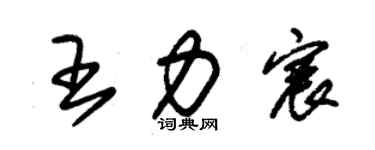 朱锡荣王力宸草书个性签名怎么写